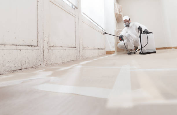 24/7 Emergency Black Mold Remediation experts in Evans, CO
